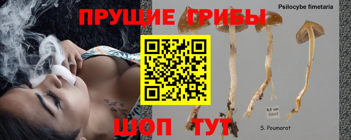 даркнет сайт  Псилоцибиновые грибы прущие грибы  Галлюциногенные грибы ЛСД  Вход с VPN  Чапаевск 